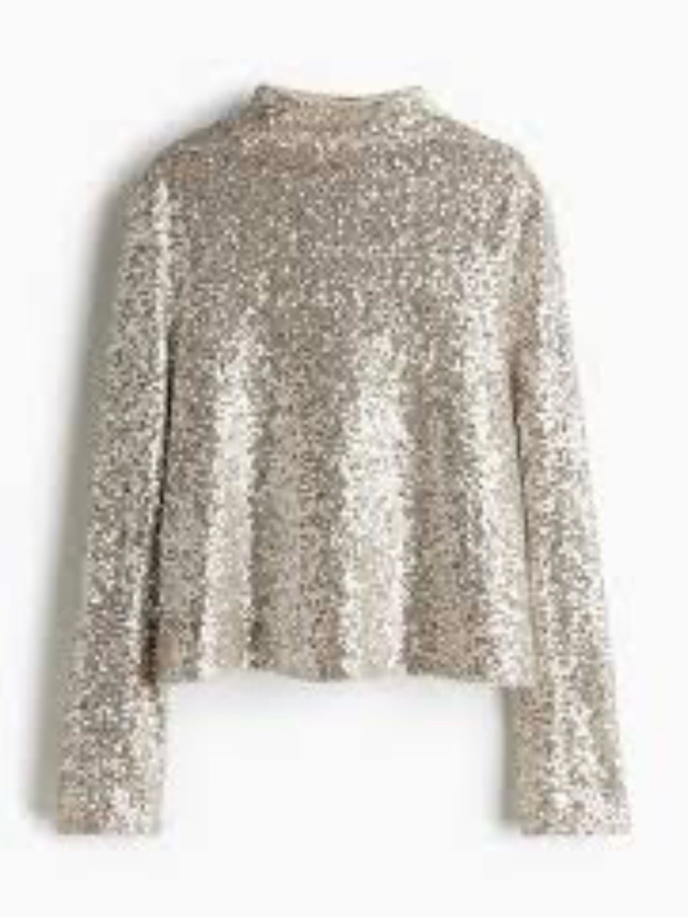 ✨ H&M Sequined Long-Sleeve Crewneck Top - Silver
